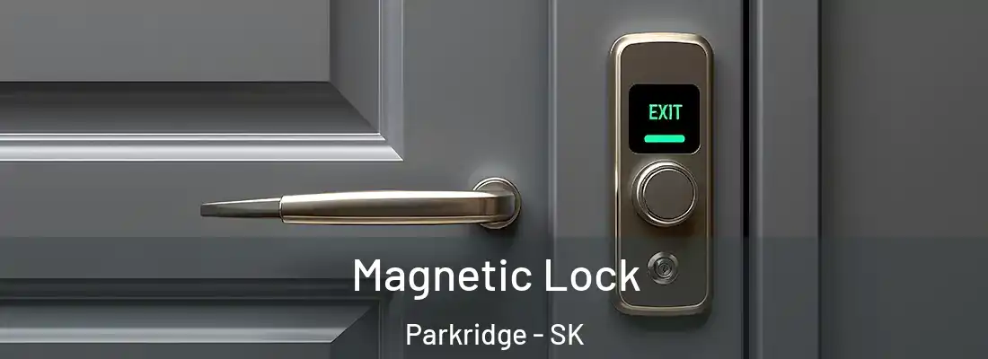  Magnetic Lock Parkridge - SK