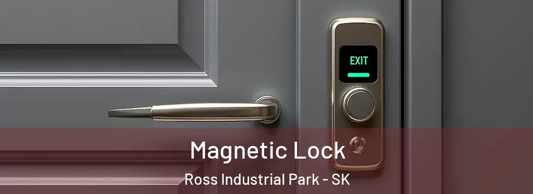  Magnetic Lock Ross Industrial Park - SK