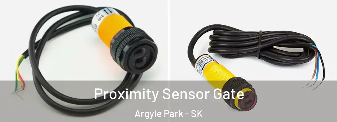  Proximity Sensor Gate Argyle Park - SK