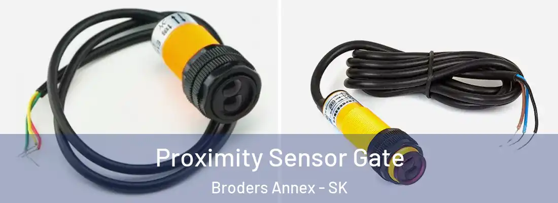  Proximity Sensor Gate Broders Annex - SK