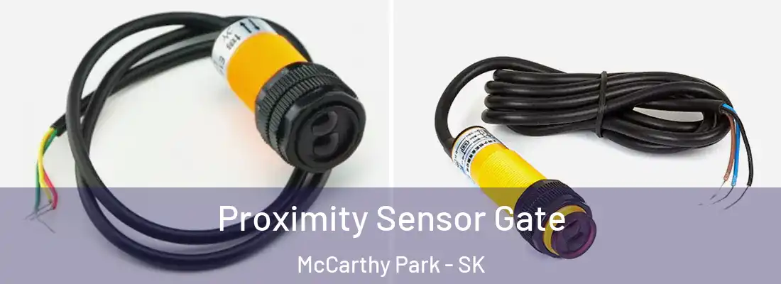  Proximity Sensor Gate McCarthy Park - SK