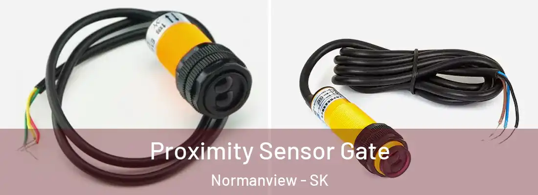  Proximity Sensor Gate Normanview - SK