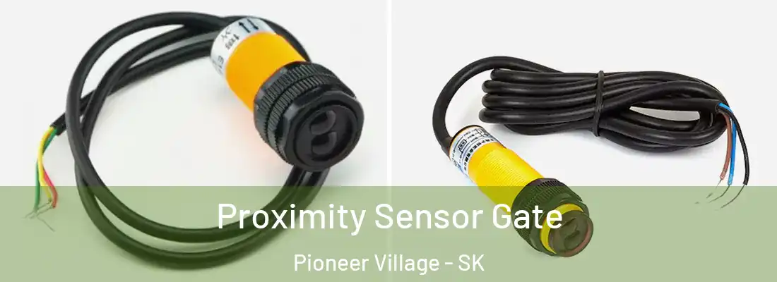  Proximity Sensor Gate Pioneer Village - SK
