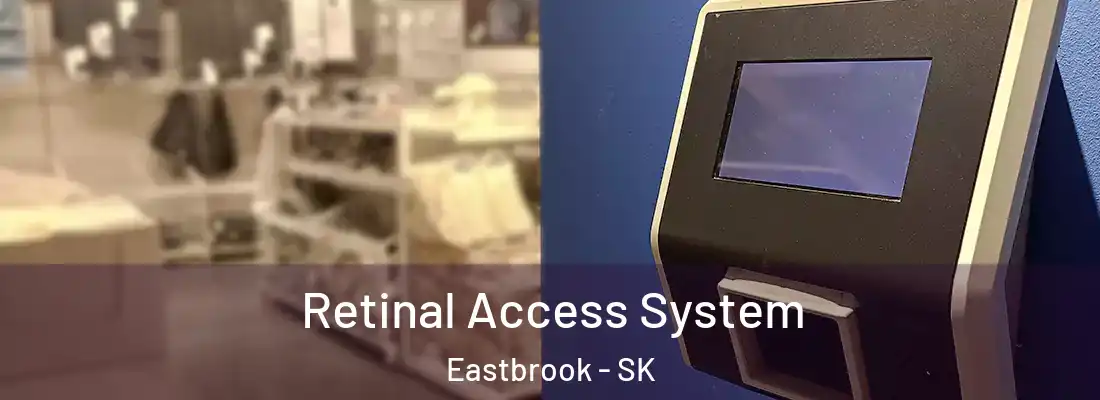  Retinal Access System Eastbrook - SK