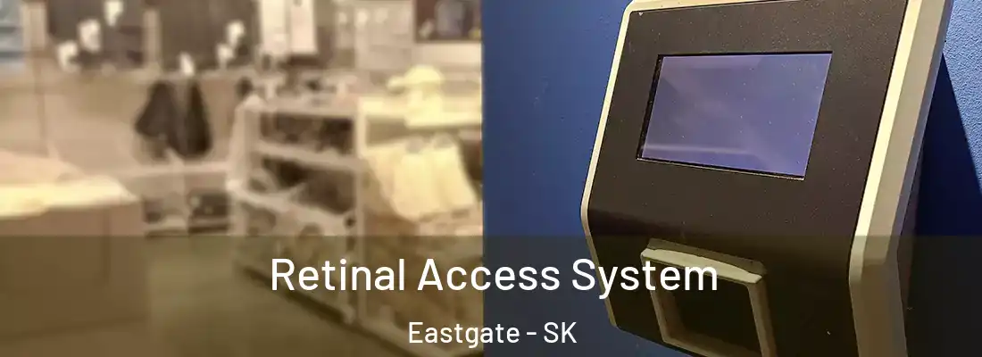Retinal Access System Eastgate - SK