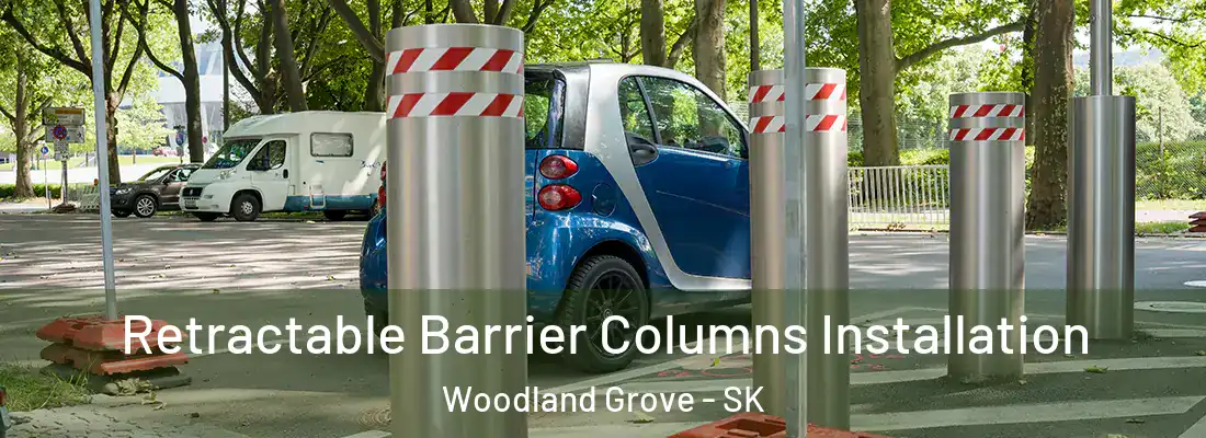 Retractable Barrier Columns Installation Woodland Grove - SK