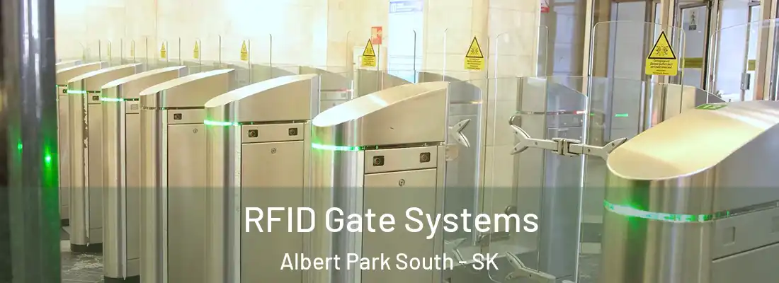  RFID Gate Systems Albert Park South - SK