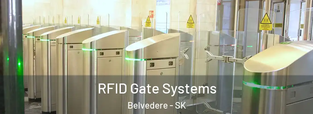 RFID Gate Systems Belvedere - SK
