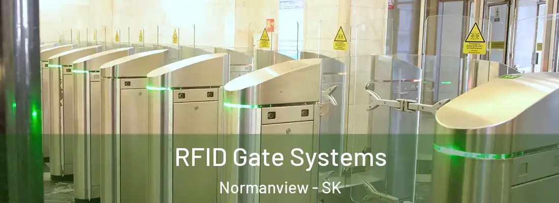 RFID Gate Systems Normanview - SK