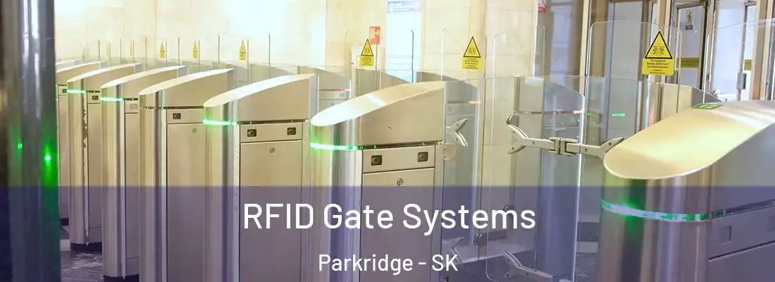 RFID Gate Systems Parkridge - SK