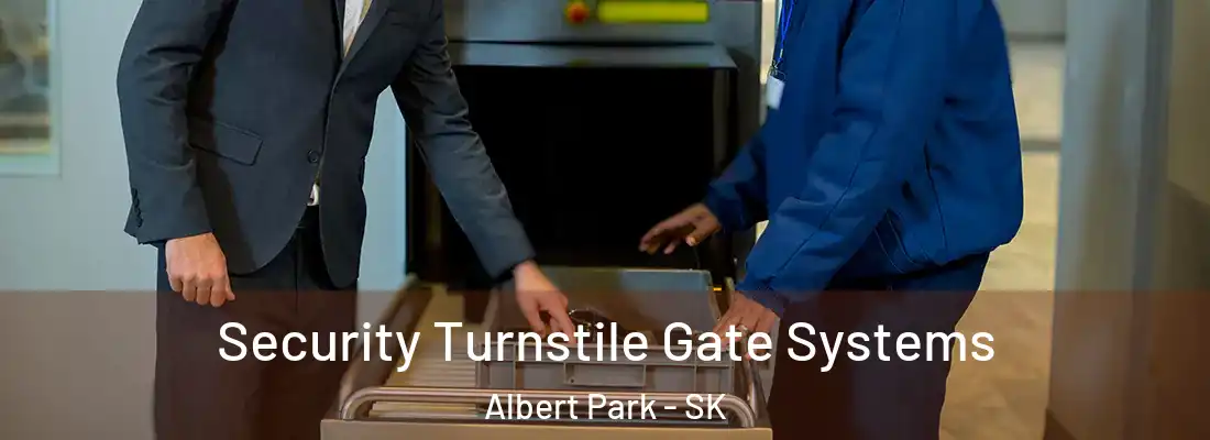  Security Turnstile Gate Systems Albert Park - SK