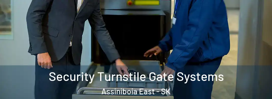 Security Turnstile Gate Systems Assiniboia East - SK