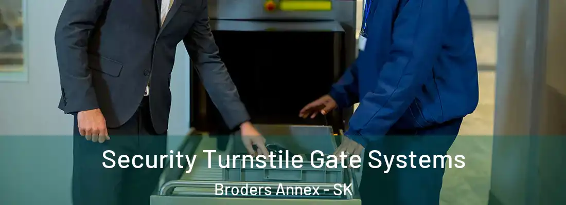 Security Turnstile Gate Systems Broders Annex - SK