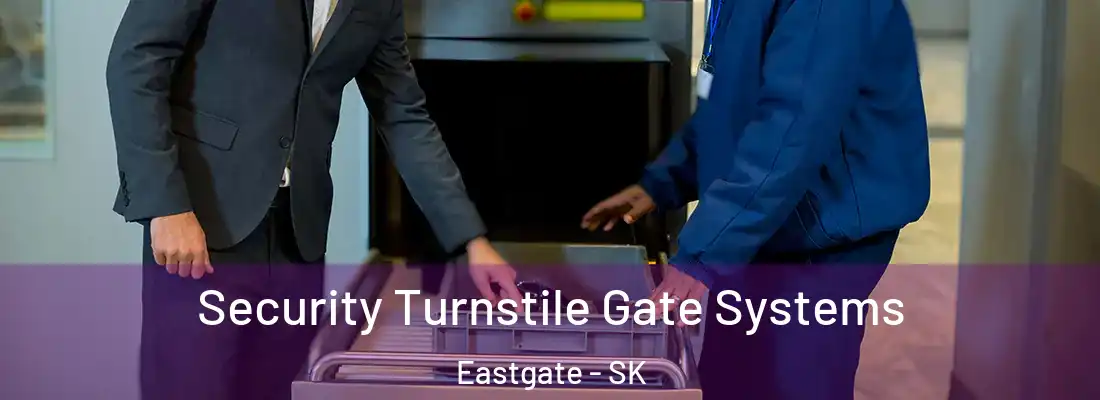 Security Turnstile Gate Systems Eastgate - SK