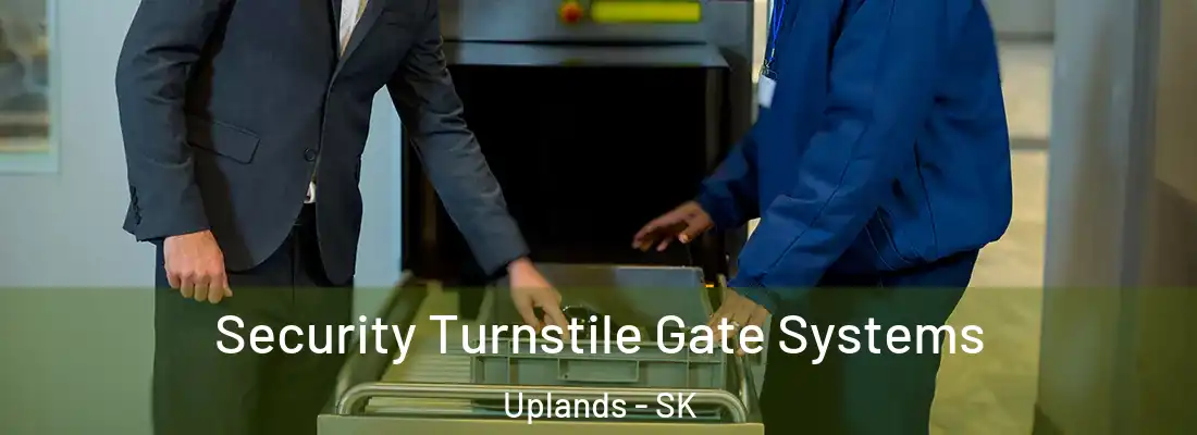 Security Turnstile Gate Systems Uplands - SK