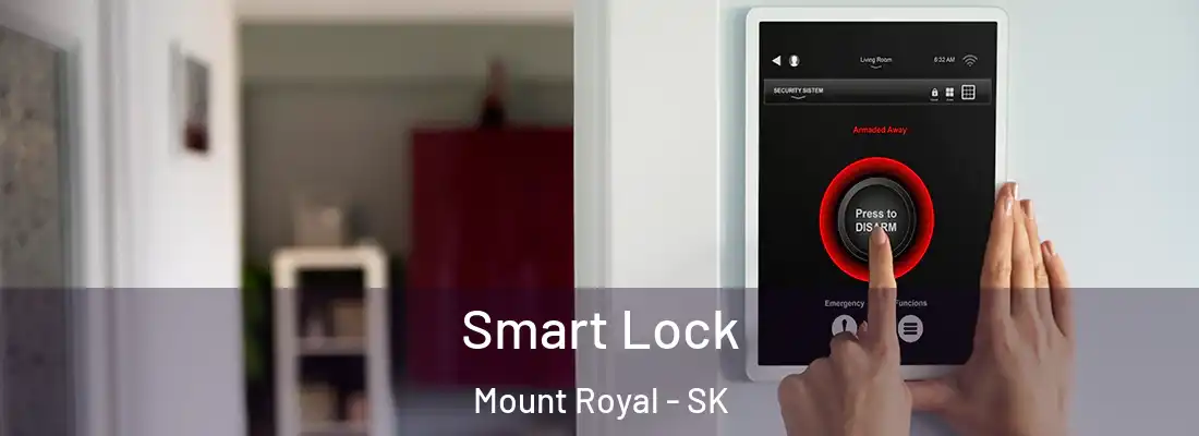  Smart Lock Mount Royal - SK