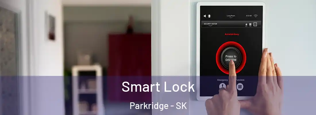 Smart Lock Parkridge - SK