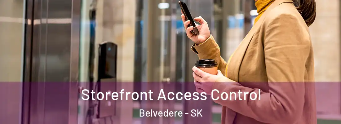 Storefront Access Control Belvedere - SK