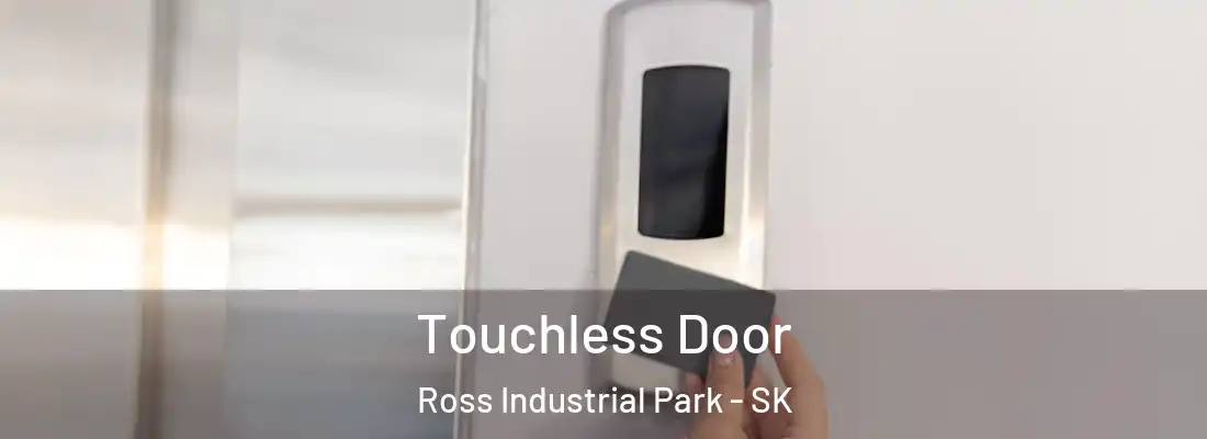 Touchless Door Ross Industrial Park - SK