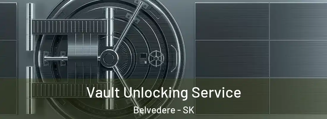  Vault Unlocking Service Belvedere - SK